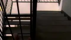 Во все тяжкие 3 сезон 2 серия